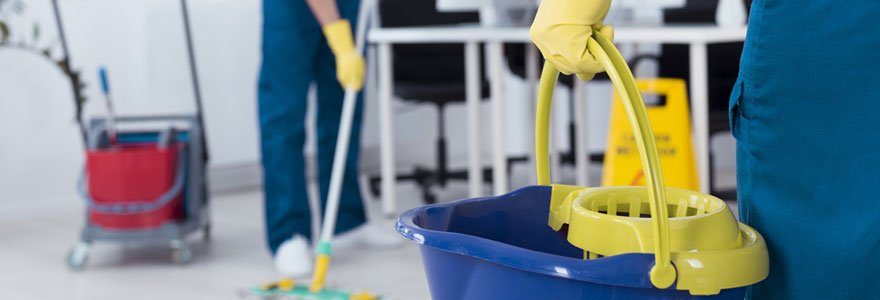 prestations-de-nettoyage-pour-particuliers-et-professionnels